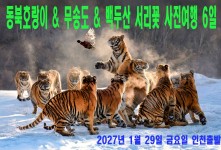 동북호랑이 & 무송도 & 백두…