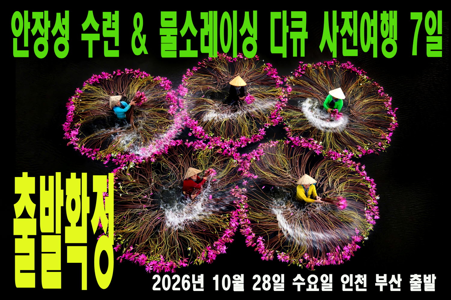 안장 수련