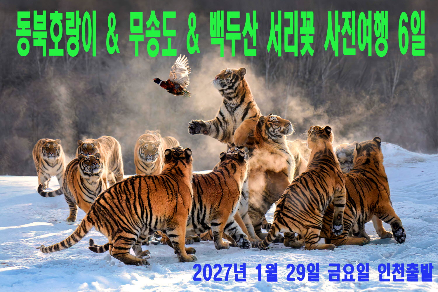 0129-동북호
